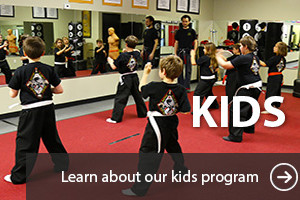 Martial Arts for Kids Springfield